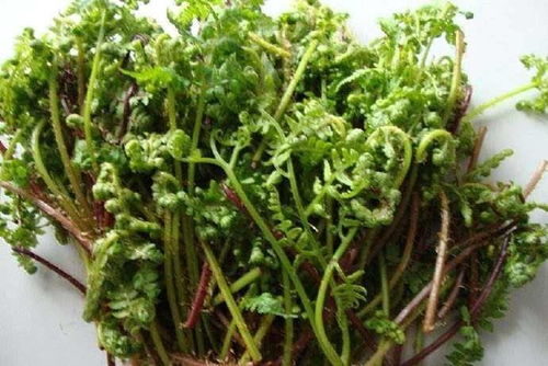 野菜的食用方法