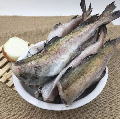 鳕鱼属于鱼类，有鳞
