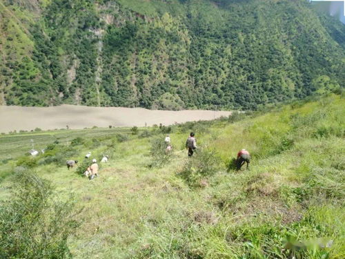 云南的数据让人惊讶