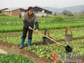 有机肥，高端大气上档次