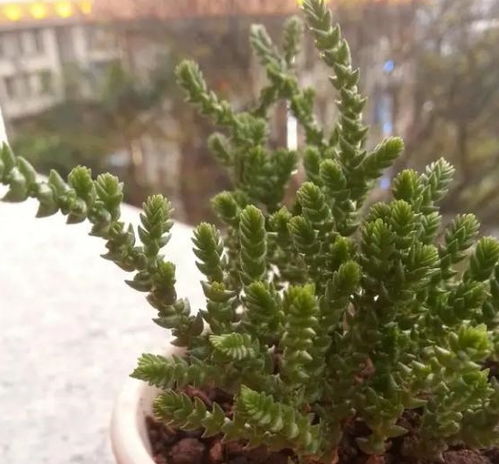 三大致命错误， 千万要避开