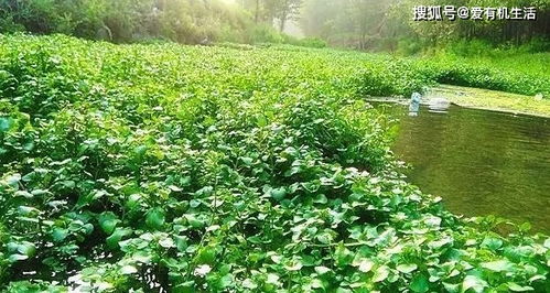 选址就像找对象