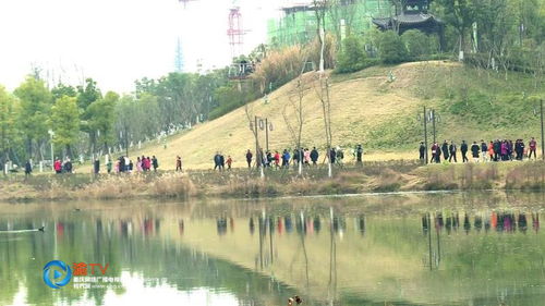 双桂湖美景，植物世界里的秘境探险