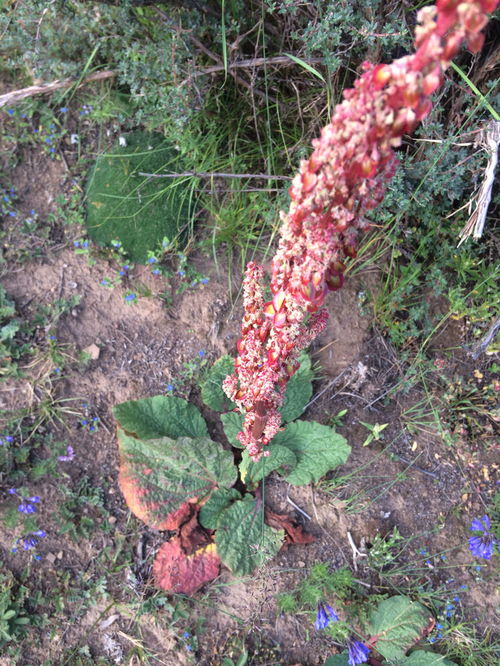 海拔误区害惨人！这些数据惊掉下巴