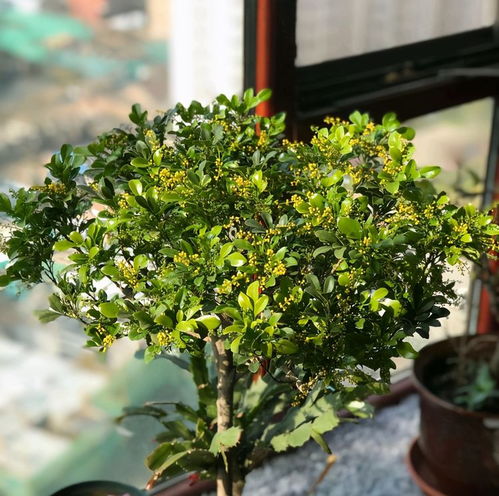 养护条件差异对比