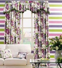 空气凤梨门帘：爆款花卉窗帘，易养制作快！