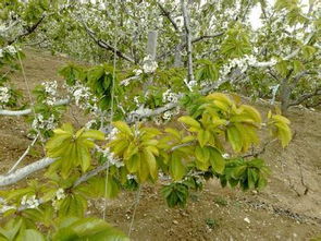 原因四：通风不良