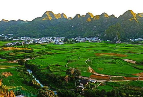 农作物种植与路边绿化