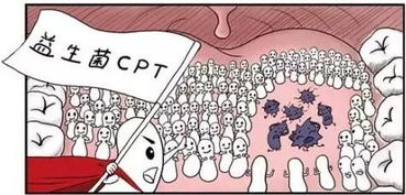 选料要堪，出生证