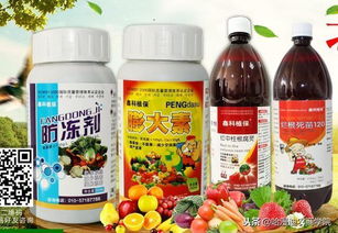 井冈戊唑醇120克每亩使用之谜