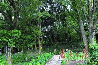 2. 价格坐过山车