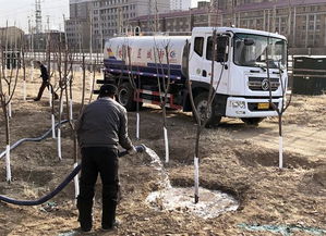 冬季园林植物浇灌防冻水的重要性