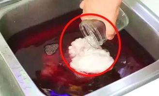 为什么家里下水道会反出恶臭味道呢？