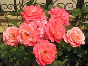 第一招：闻香味