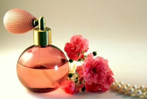 揭秘香水花养殖技巧：轻松打造迷人香气花园