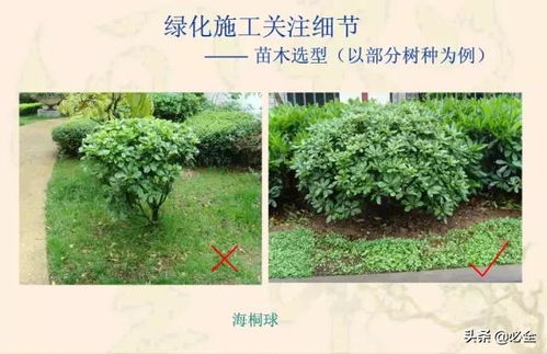 案例分享：老周的播种经历