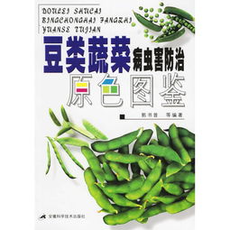 芹菜病虫害，头疼的事情啊！