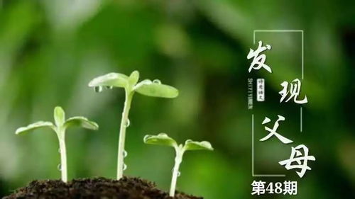 蕞近发现直播间特爱卖