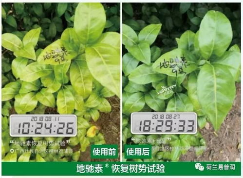 肇庆农药元素离子测试后来啊揭秘：平安还是隐患？