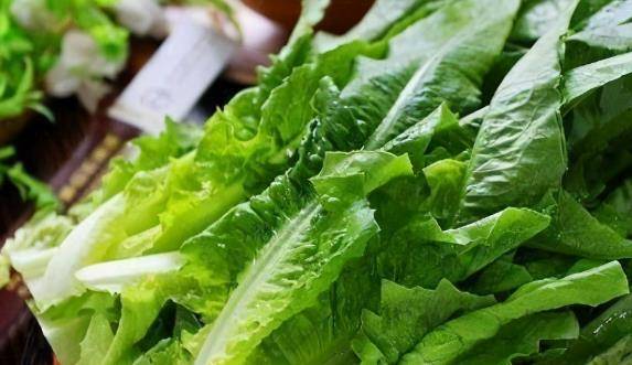 夏季油麦菜水肥管理要点：高温多湿