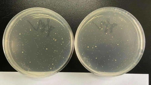 碱性水，到底是个啥？