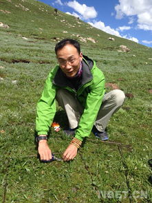 甘肃玛曲县的播种智慧