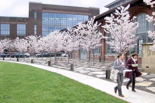 1. 工业遗址公园