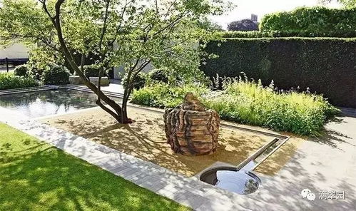 藤类植物， 绿化空间的新宠