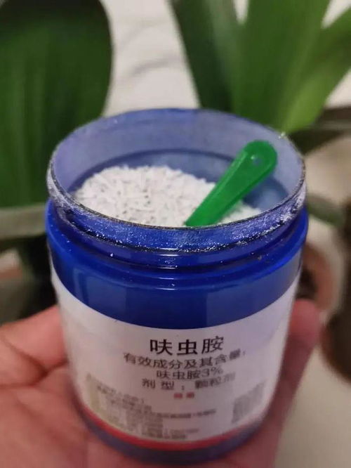 先说说褐飞虱， 这小东西可不好对付
