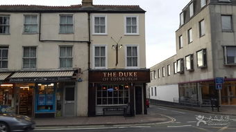 一、了解爱丁堡公爵月季的基本信息