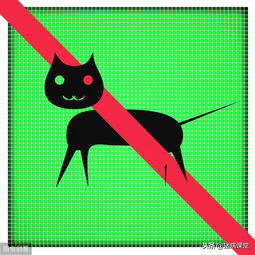 夏季猪场弓形体和附红细胞体病，哪个geng可怕，不可忽视吗？