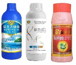 防范为主：如何避免伤害