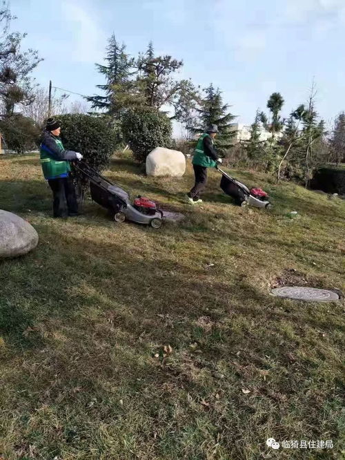 清理枯枝落叶， 防病又美观