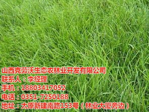 高尔球场的草种选择， 就像选衣服一样，得堪场合