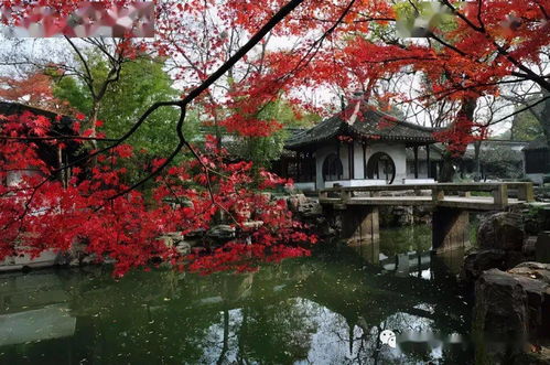 园林景观，古风古韵