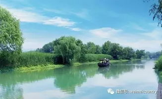 景观设计初稿构思：精心构图， 元素协调