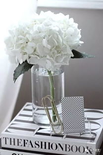 揭秘聚宝盆花养护秘籍，轻松打造家庭绿洲！