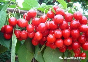 实际案例：老李的经验