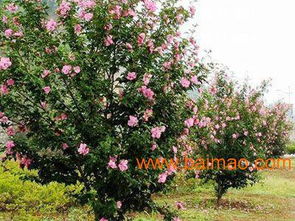 朋友的经验教训