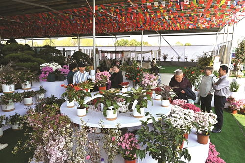 花木节亮点纷呈