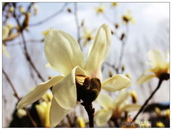 播种小技巧， 你一定要知道