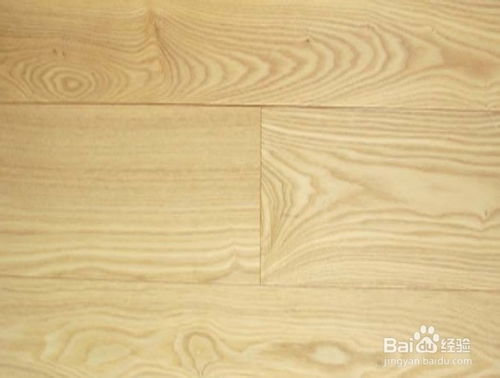 水曲柳和白蜡树：一场树木的对话