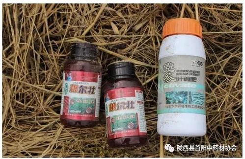 党参除草剂的选择与注意事项