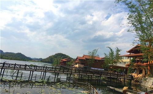 古城西宁的绿化树种植小攻略