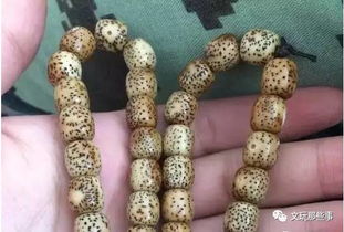 星月菩提树图片，这棵树品种独特吗