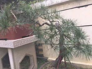 设计过程中的注意事项