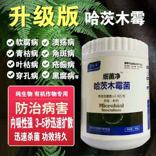 杀菌剂的作用原理