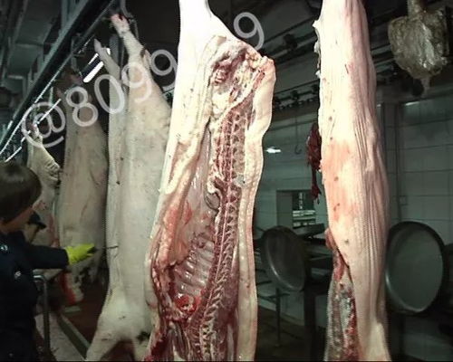 提升猪肉品质，倡导人道屠宰