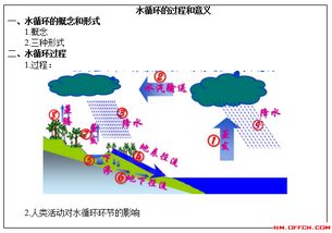 高中地理水循环教学设计：揭秘水资源对农业的滋养之道！