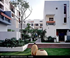 园林绿化每平米造价探秘